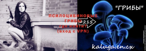 твердый Абаза
