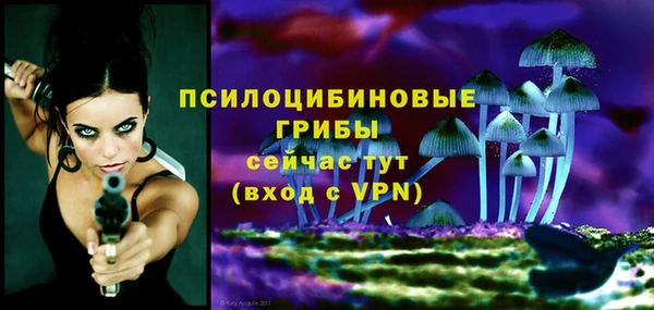 эйфоретик Алексин