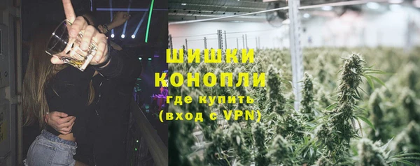 гидропоника Алзамай